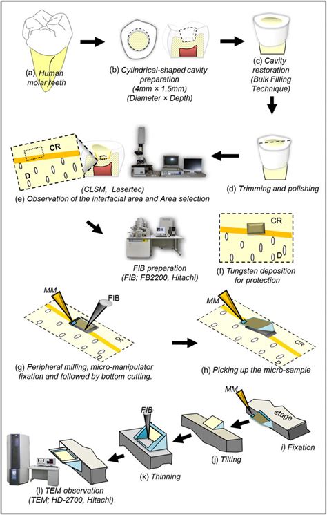 Practical Specimen Preparation and Testing Protocol for 